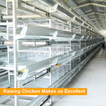 Tianrui Good Design Chicken Cage For Poultry Farm